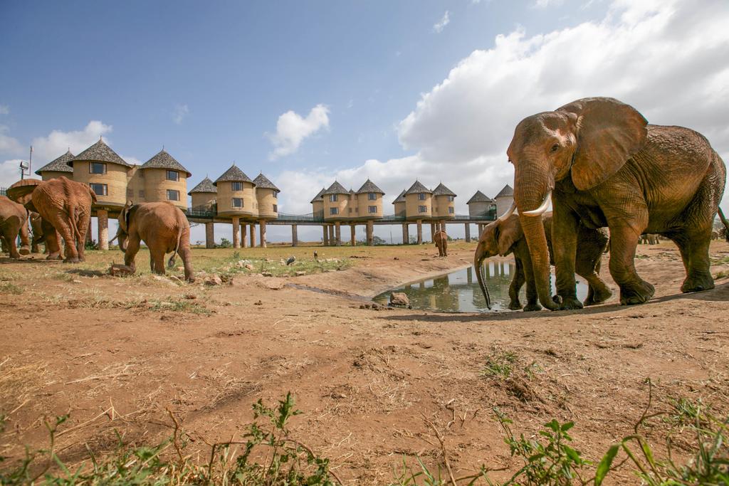 Day 3: Ngutuni Game Sanctuary to the Kenyan Coast