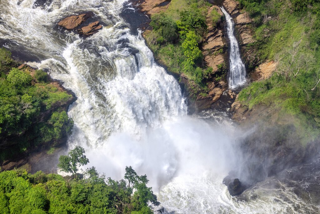 Day 3: Transfer to Murchison Falls, Top of the Falls and Game Drive