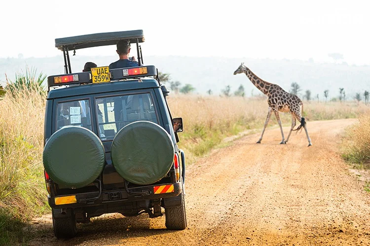 Day 4: Game Drives and Boat Safari