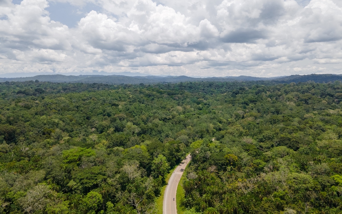 Day 1: Arrival at Entebbe and Transfer to Kibale Forest National Park