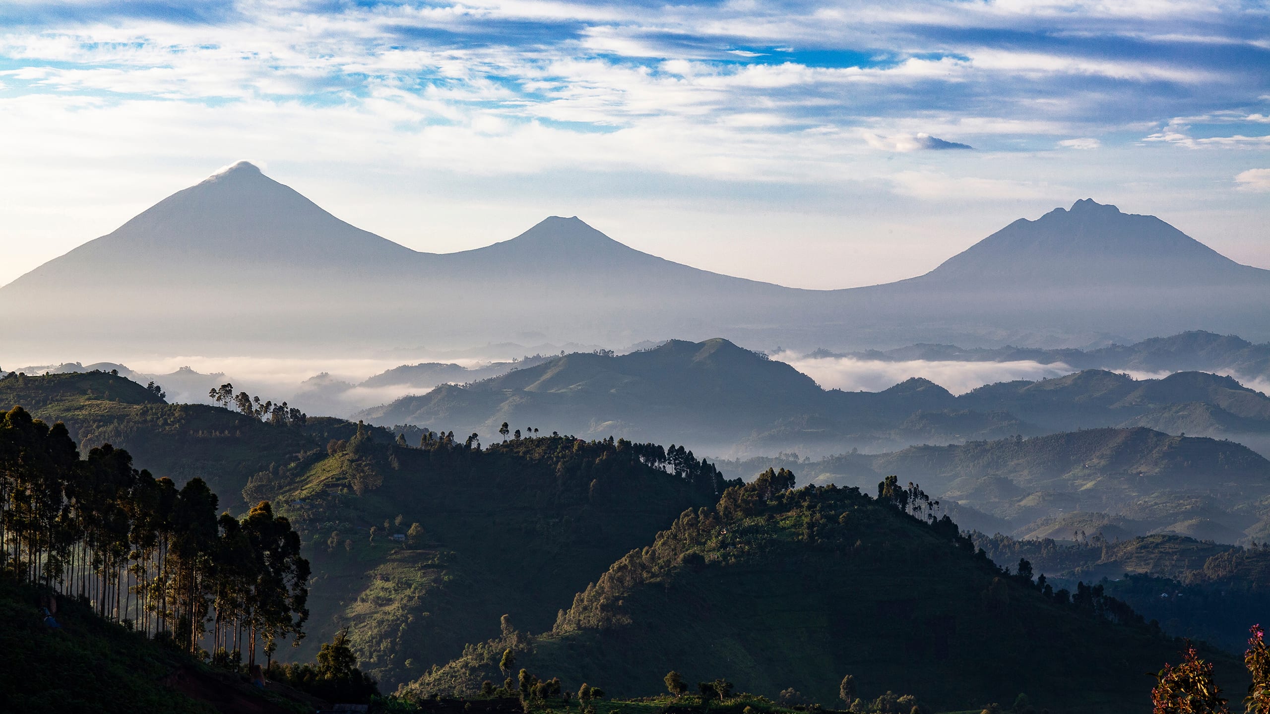 Day 6: Transfer to Volcanoes National Park, Rwanda