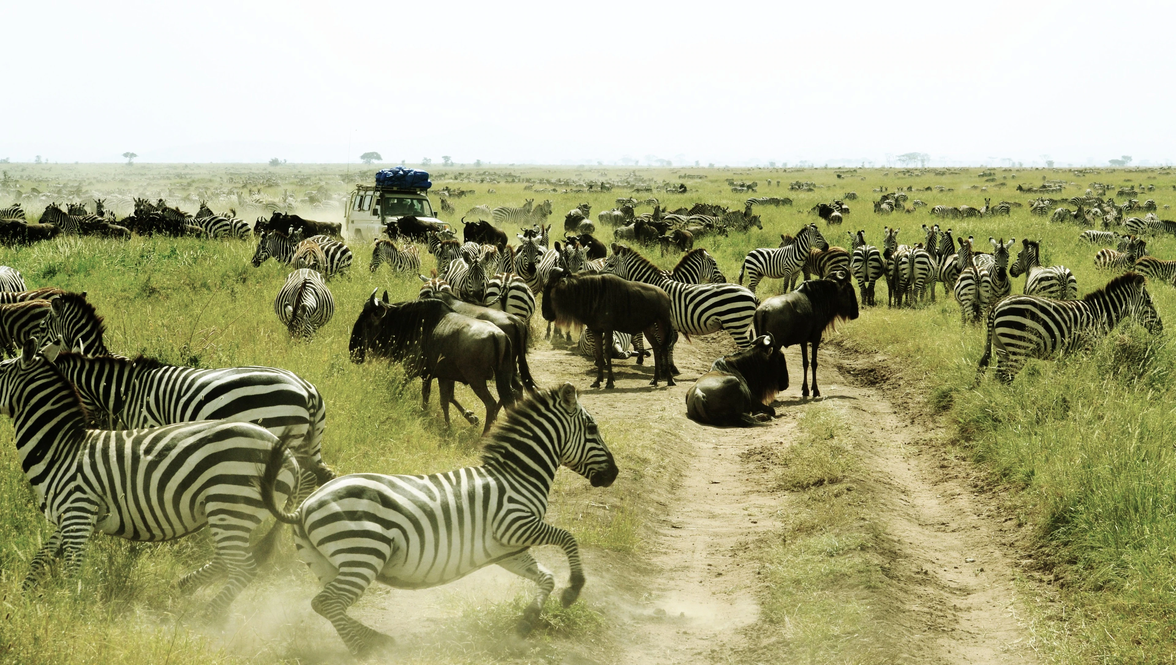 Day 3: Karatu to Serengeti National Park