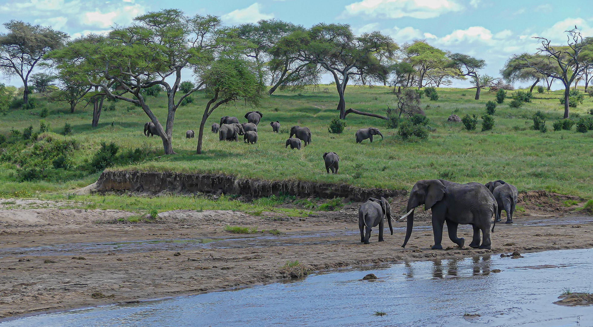 Day 1: Tarangire National Park