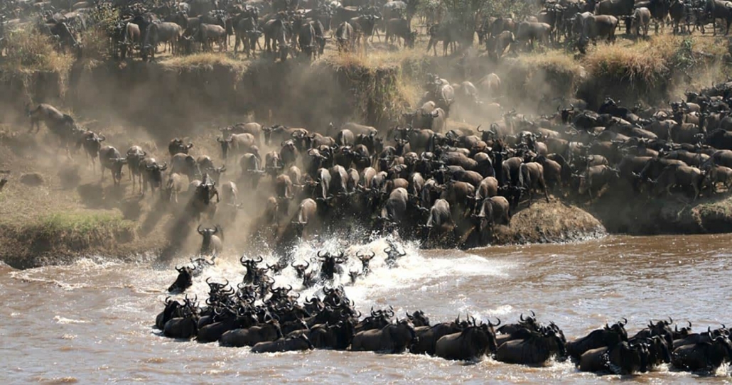 Day 5: Serengeti National Park