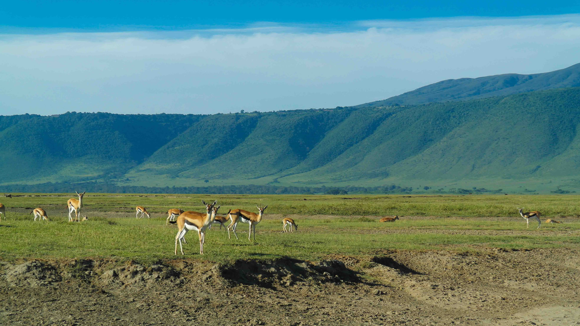 Day 6: Serengeti National Park to Ngorongoro Conservation Area
