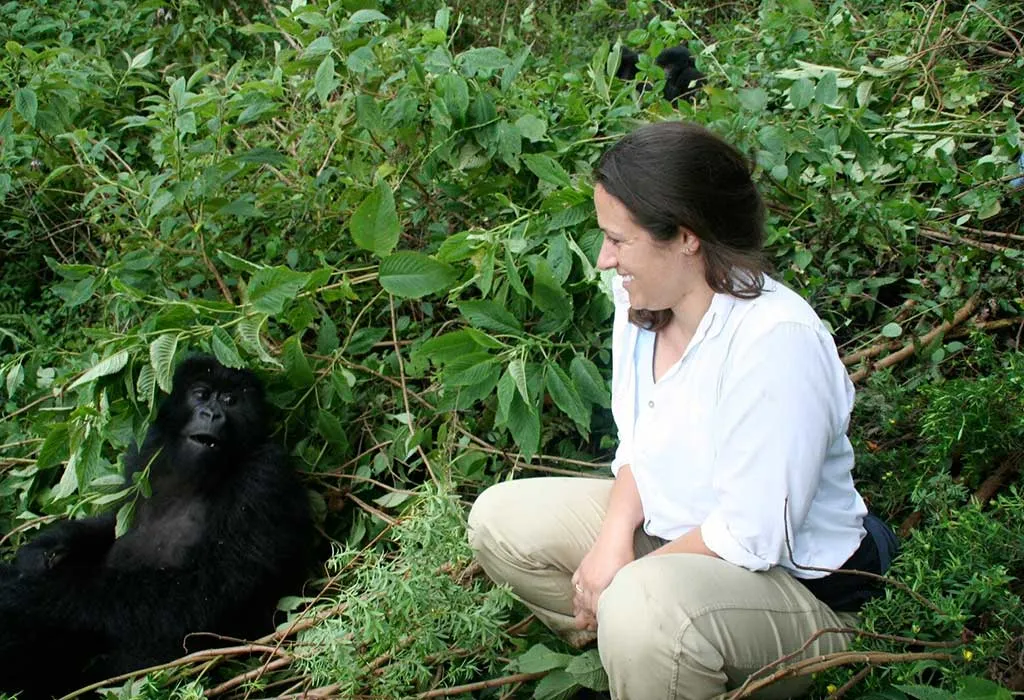 6 Day Trek chimpanzee and Gorilla habituation Uganda tour