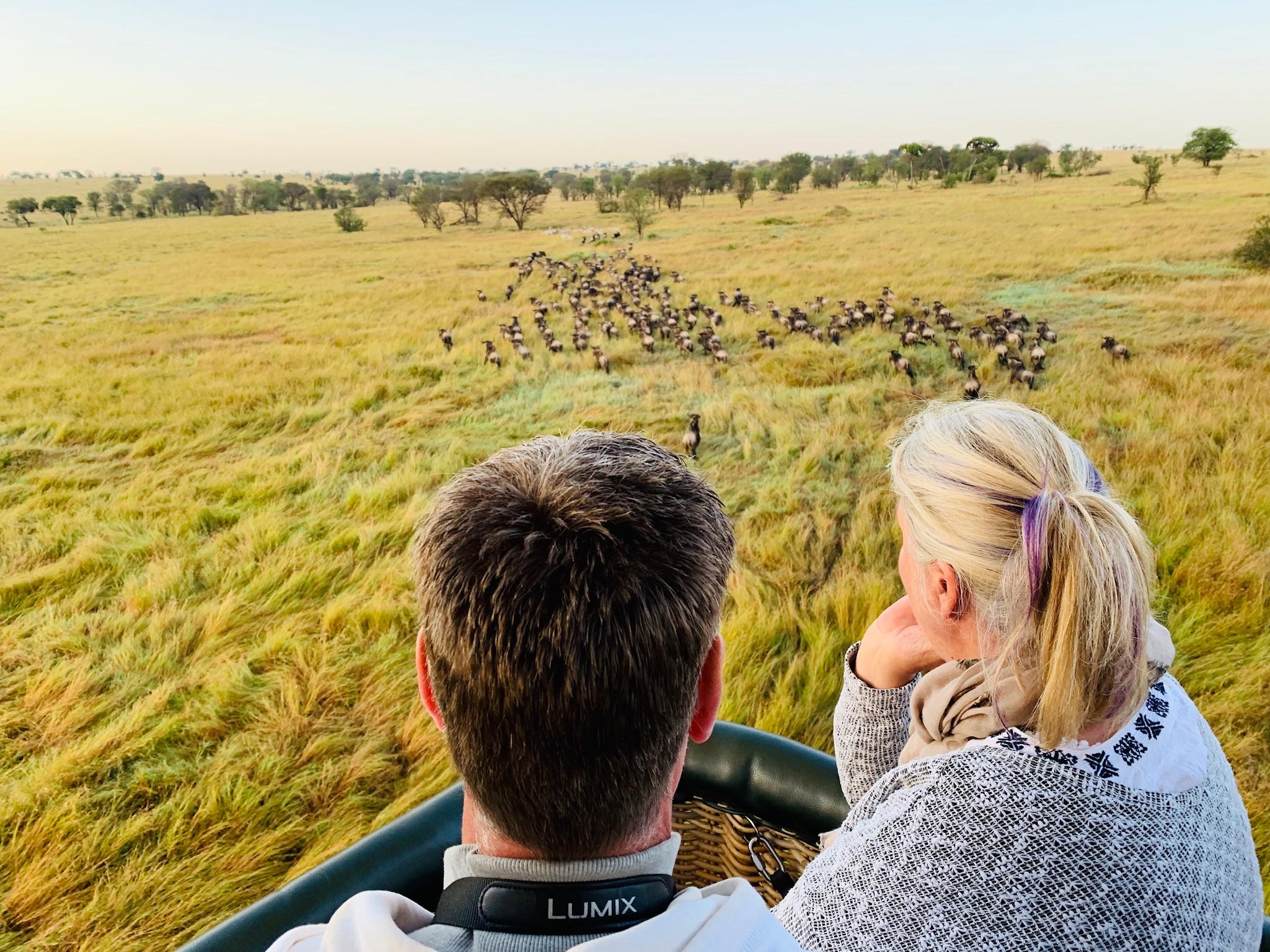 6 Day Tanzania safari to Tarangire, Serengeti and Ngorongoro