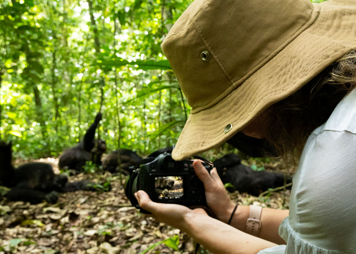 5 Day Uganda Chimpanzee and Gorilla Habituation Tour Package