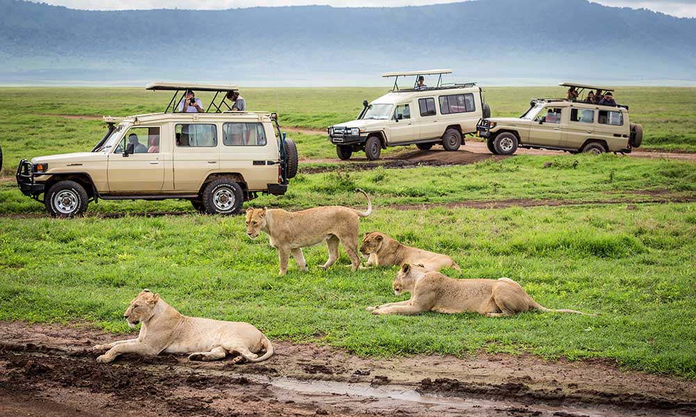 3 Day Ngorongoro crater safari Tanzania