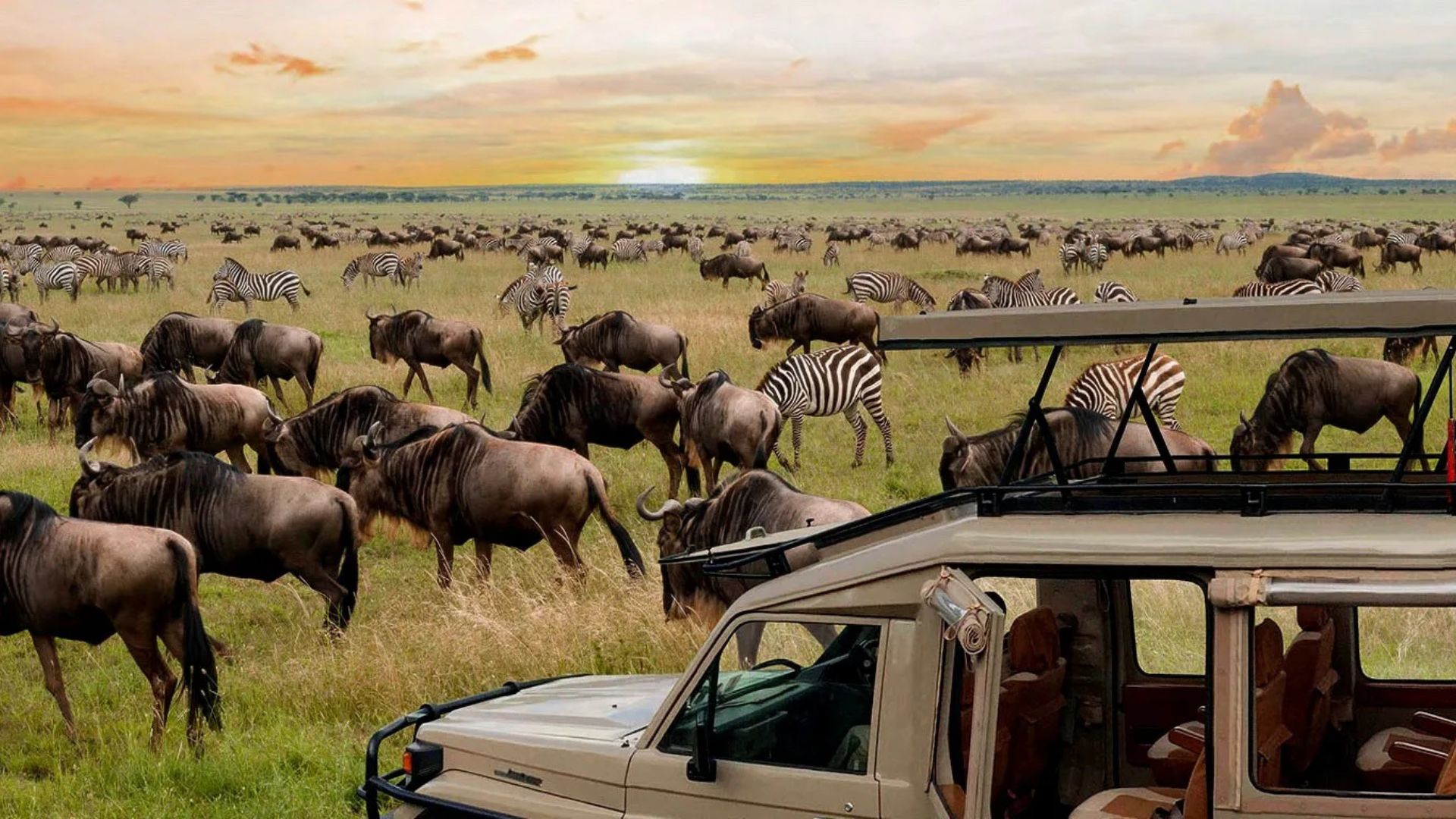 3 Day Serengeti Safari of Wildebeest Migration