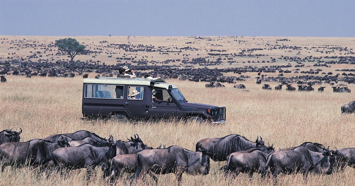 7 Day Best of Northern Circuit Tour Tanzania