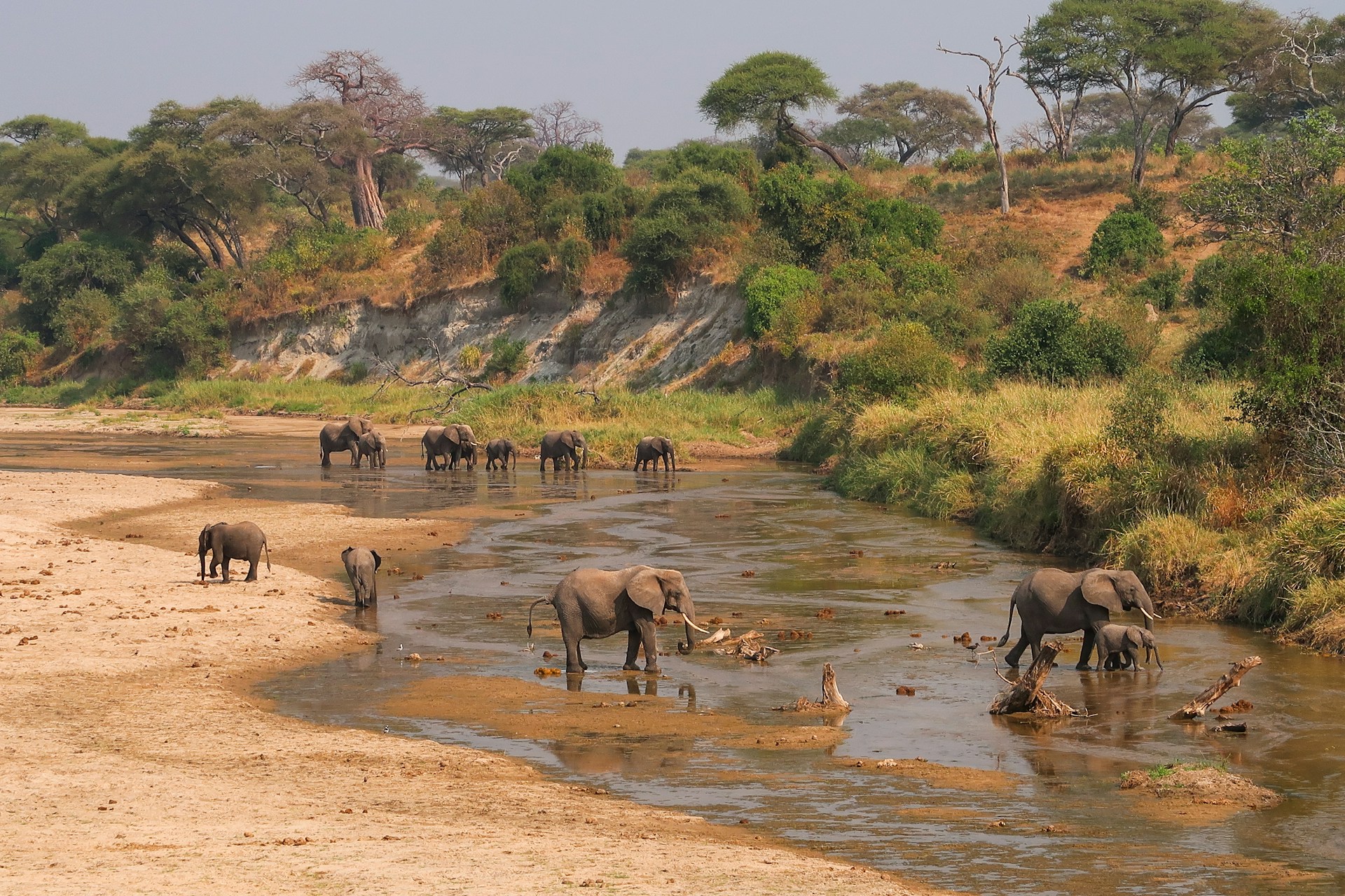 3 Day combined Tarangire and Lake Manyara Tanzania safari trip