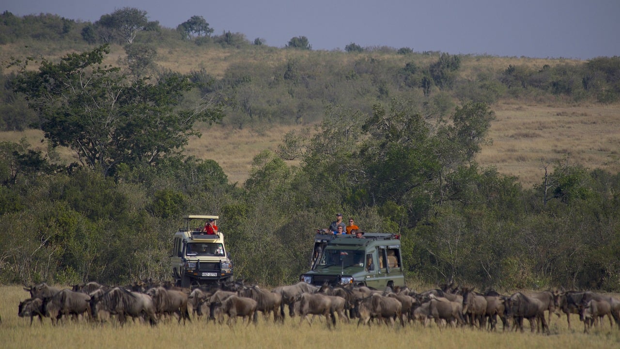 3 Day Mid-Range Masai Mara Kenya tour