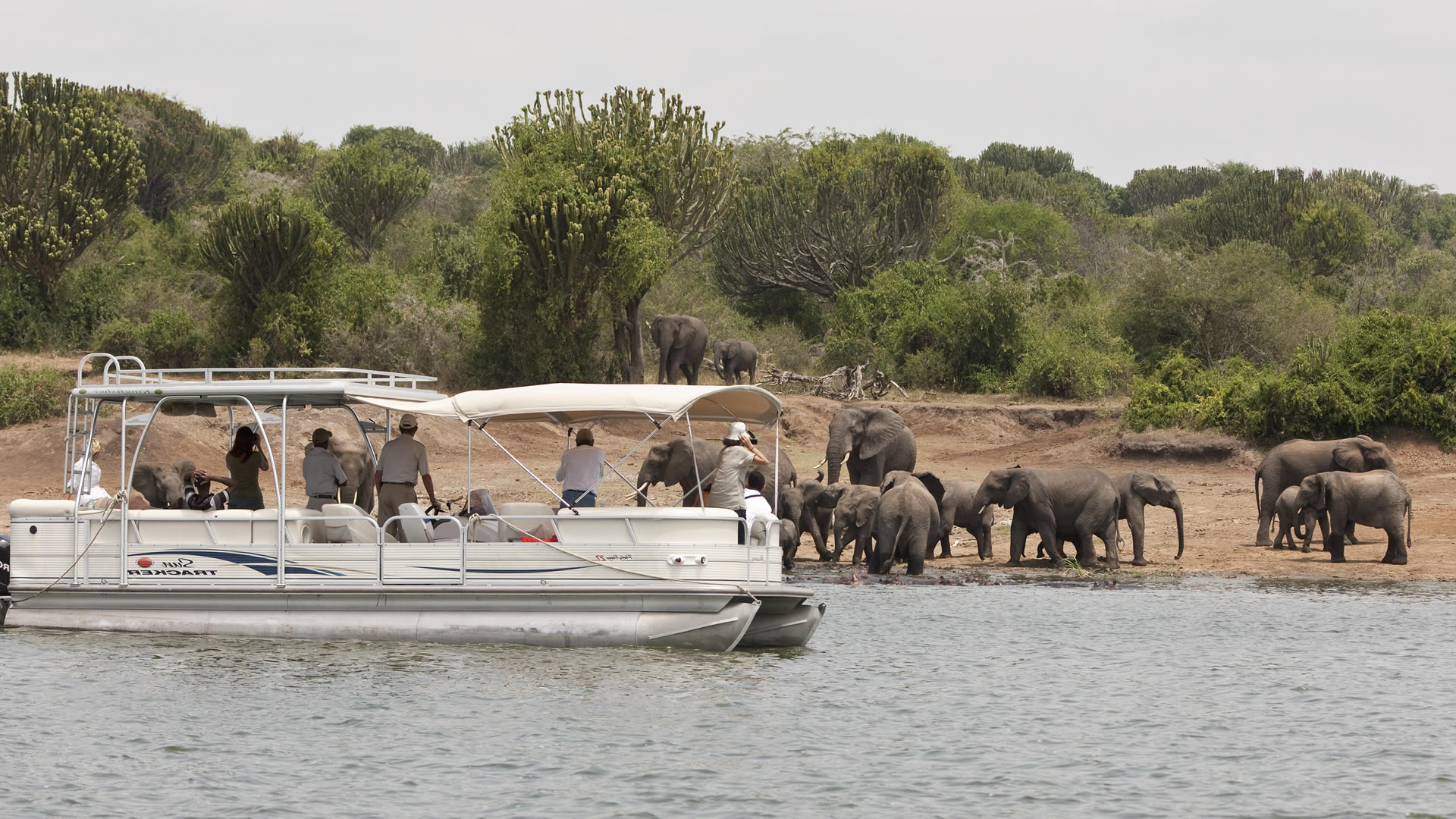 4 Day Queen Elizabeth Safari and Kazinga channel boat