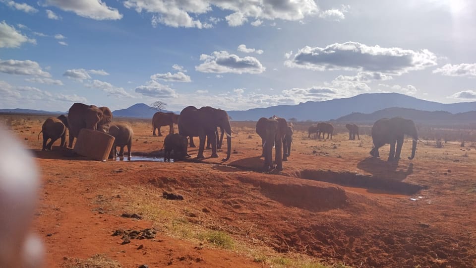 3 Day Tsavo East and West National park Tour Kenya