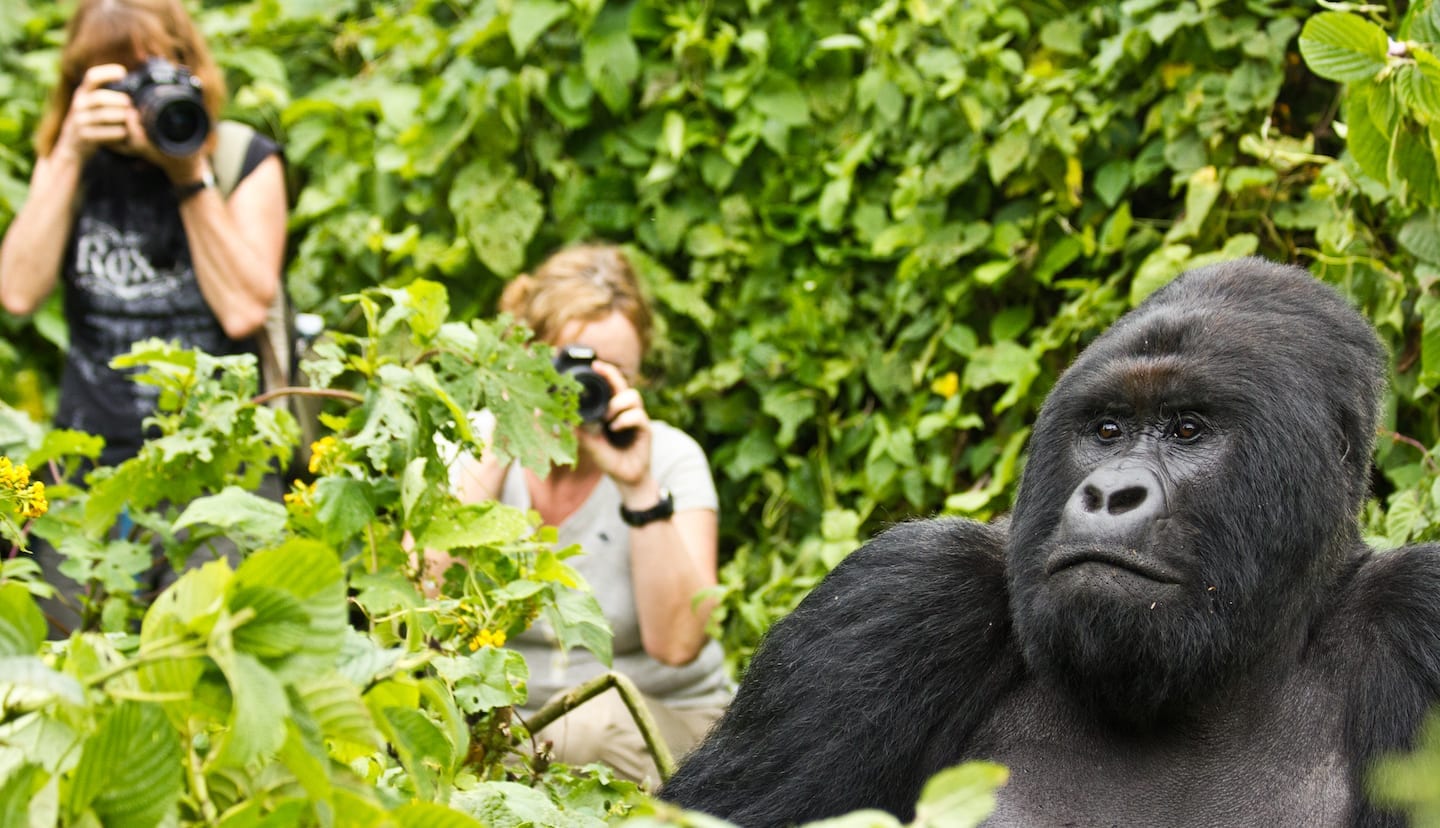 3 Day Rwanda Gorilla Trekking with Golden Monkeys and Twin Lakes
