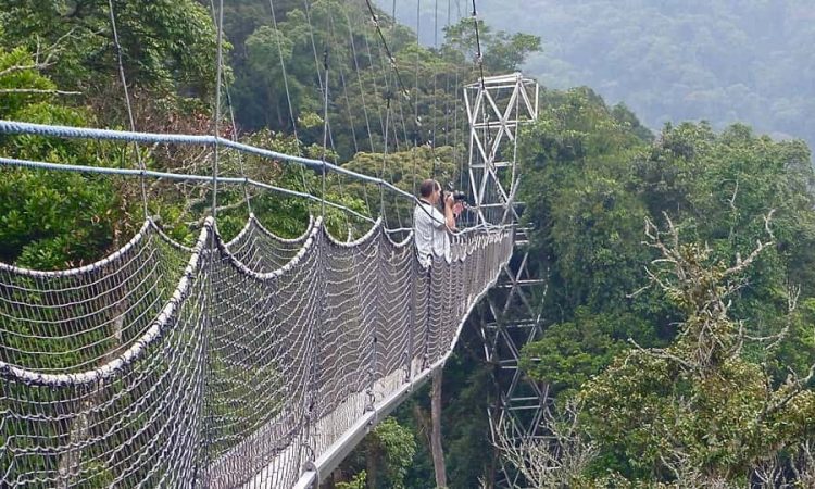 3 Day Rwanda Safari to Nyungwe National Park and Lake Kivu