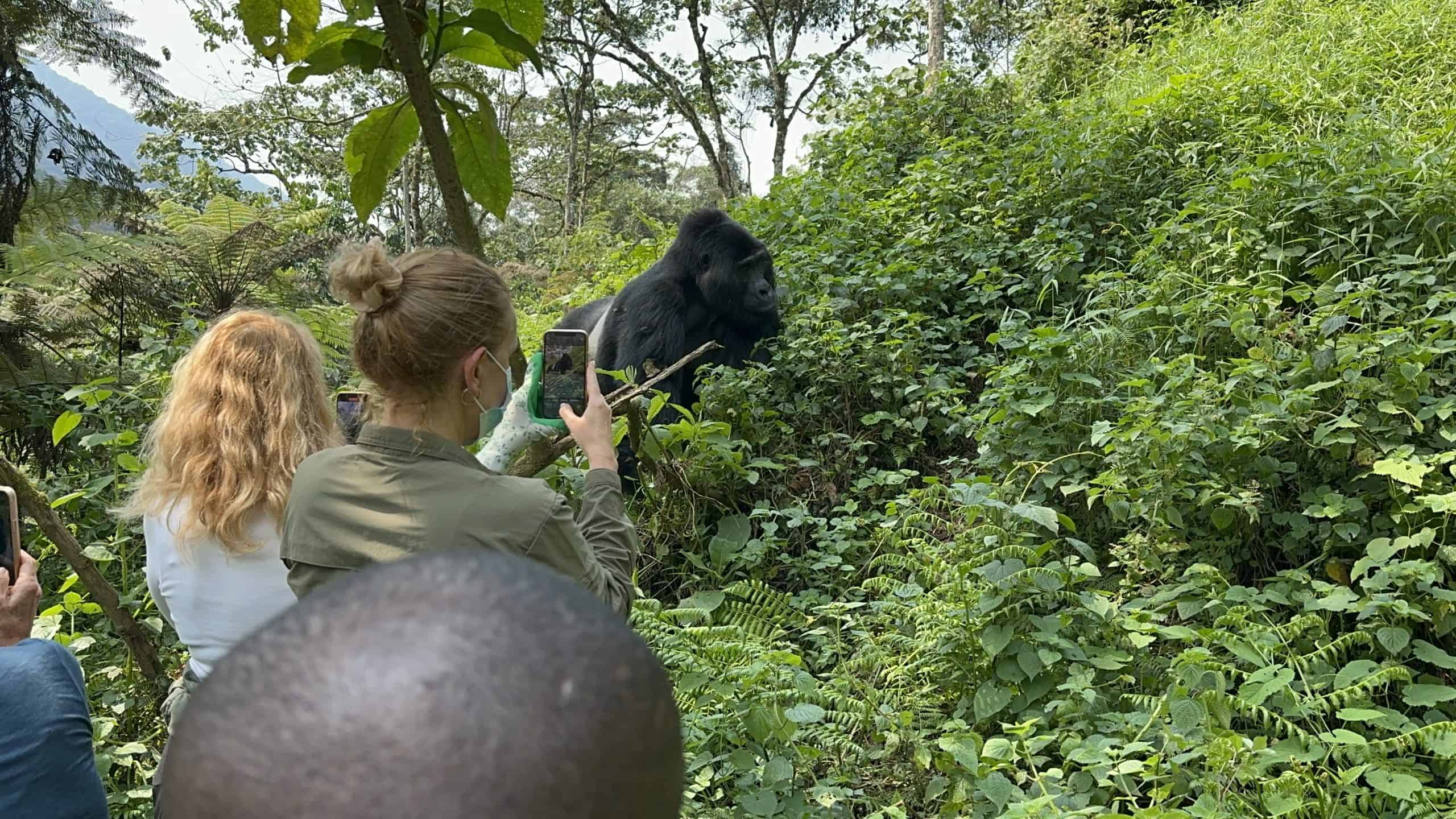 3 Day Rwanda Gorilla Tour Safari Mid-Range Package