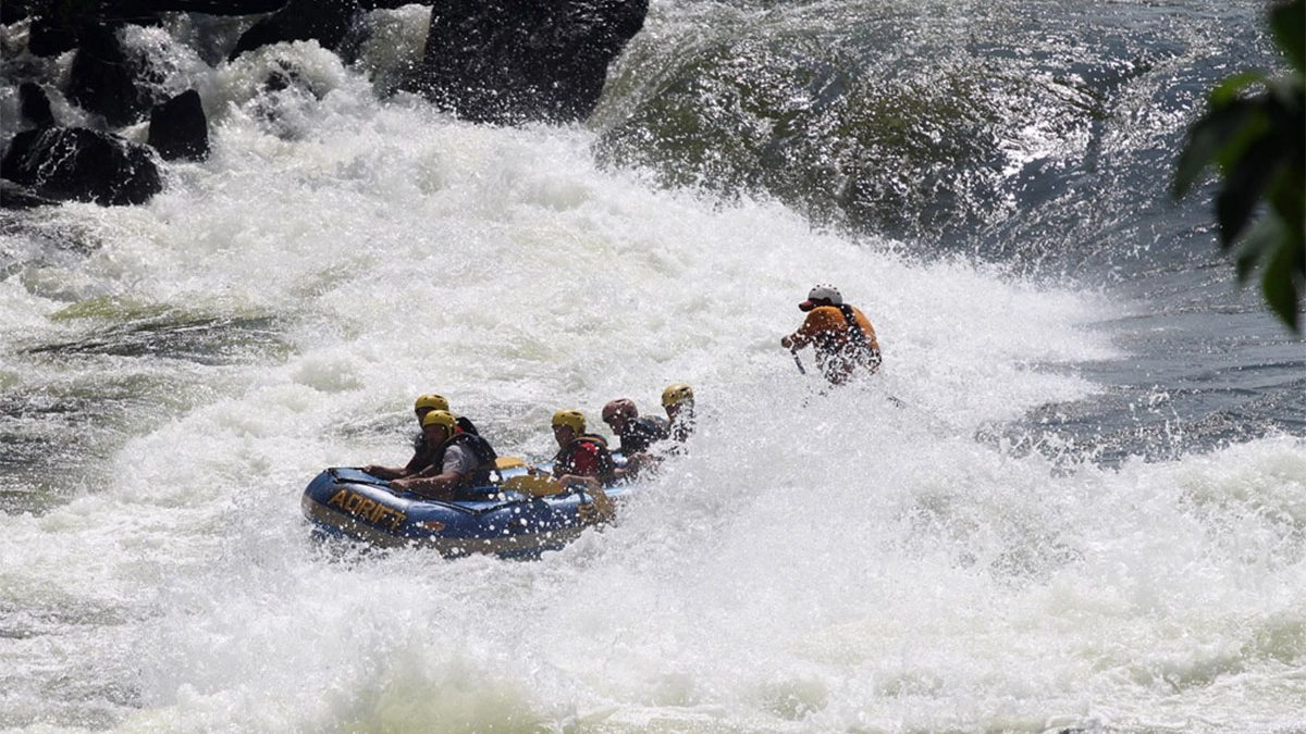 7 Day Uganda tour to Murchison falls, Kibale and Jinja
