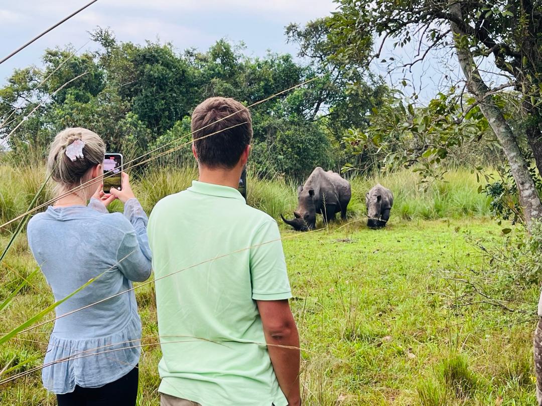 6-Day Uganda Wildlife experience and chimpanzees
