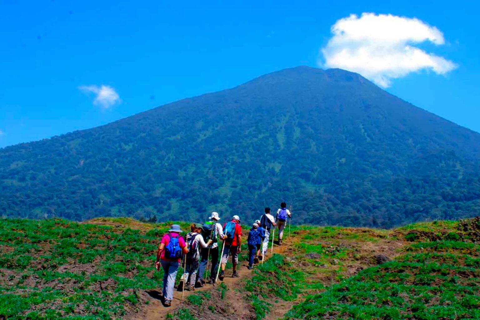 4 Day Rwanda Gorilla Trekking Tour and Bisoke Hike Experience
