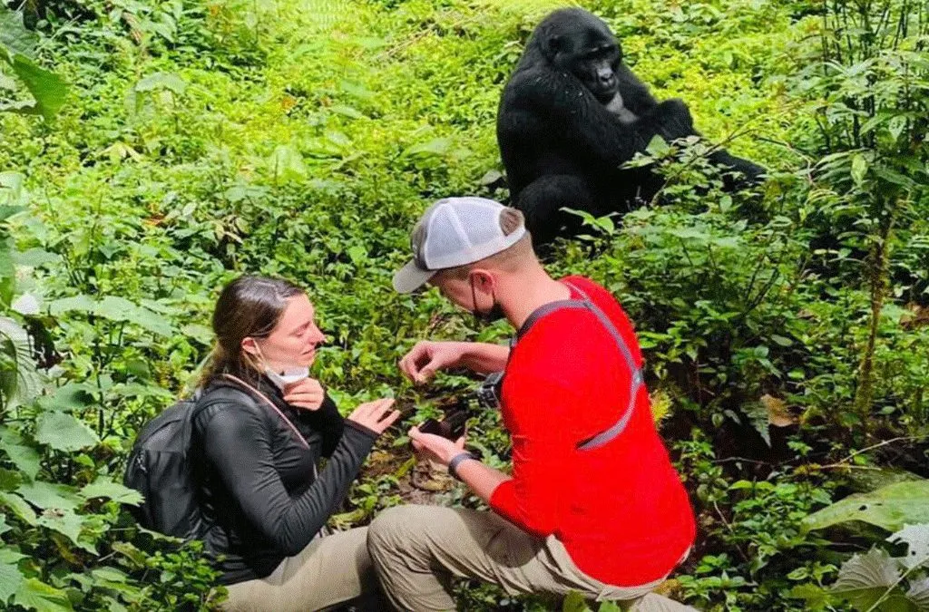 4 Day Rwanda Proposal package Before the Gorillas in Rwanda