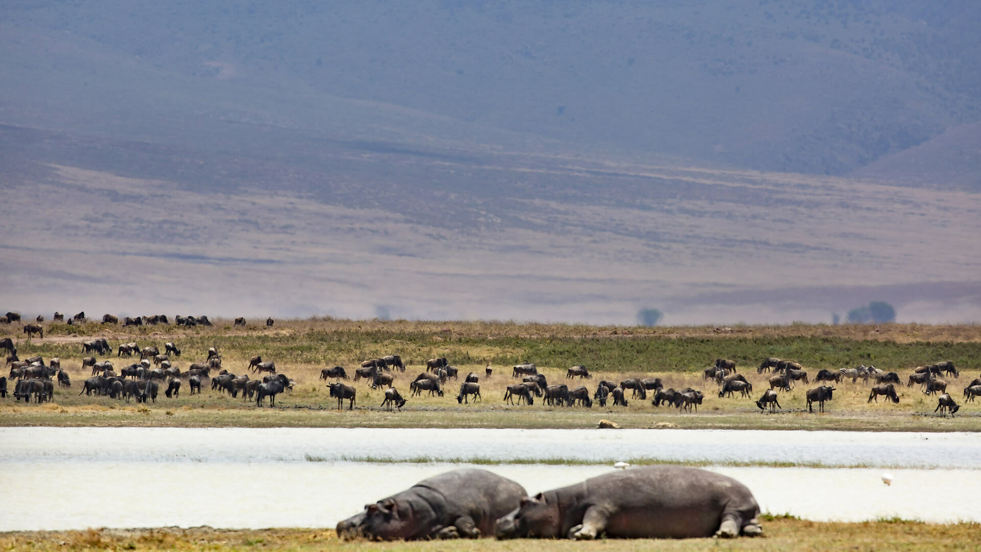 5-Day Luxury Trip Tarangire, Ngorongoro Crater and Lake Manyara