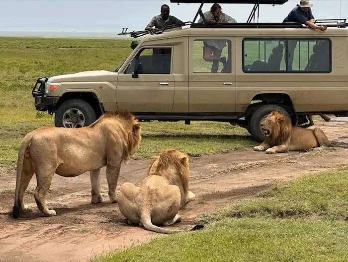 7 Day Best Tanzania Top Highlight Safari Tour