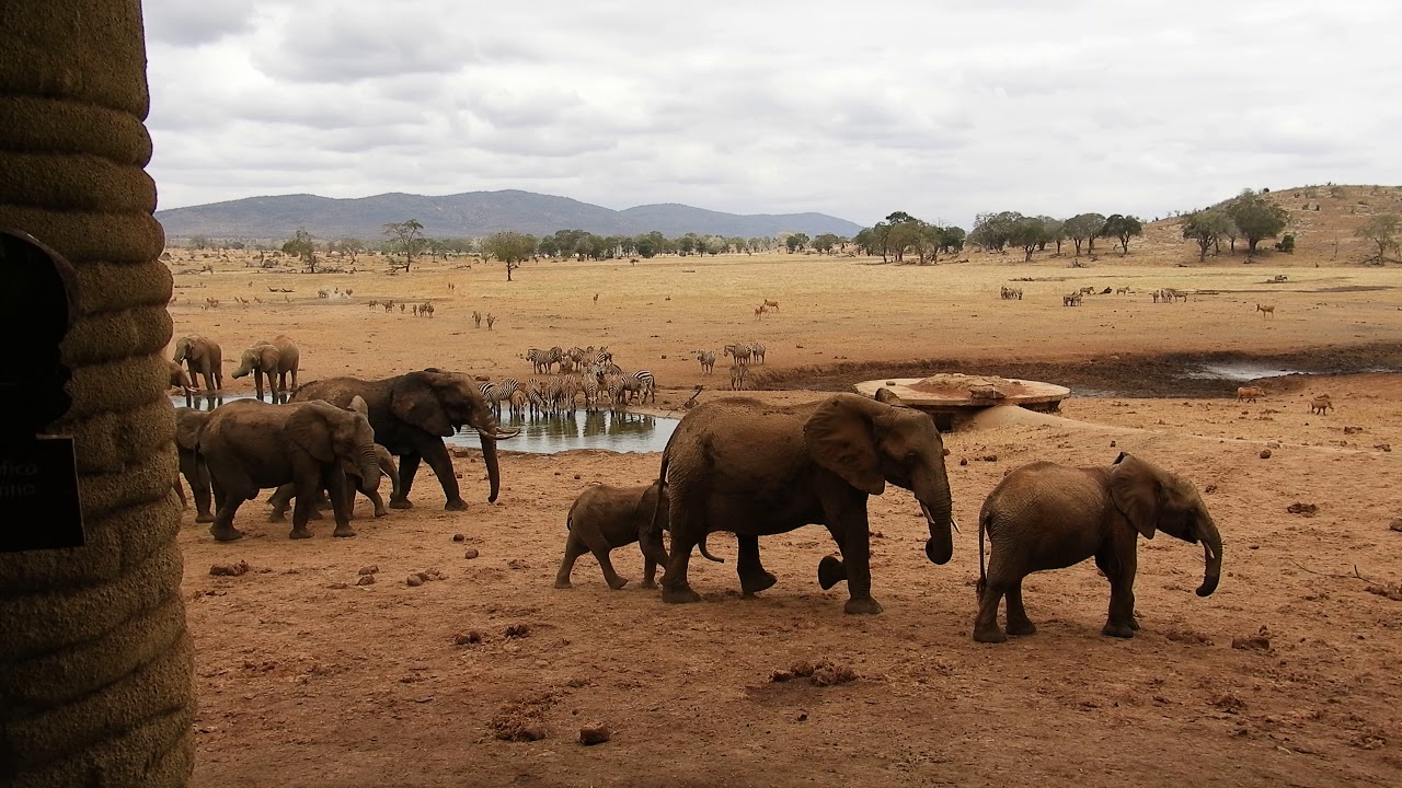 3 Day Tsavo East and Taita Hills Safari from Mombasa